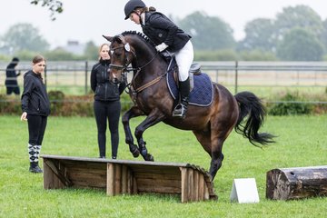 Bild 215 - Pony Akademie Turnier